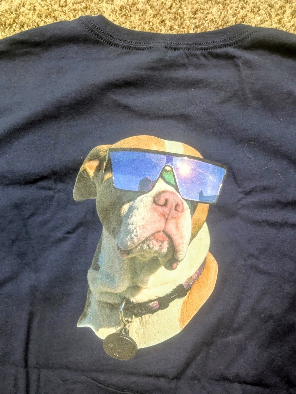 100% Cotton 3X-T-SHIRT Navy Wth Sexy Pit Bull In Sunglasses Unisex BellaCanvas